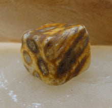 Load image into Gallery viewer, Jasper - Coral

