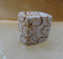 Load image into Gallery viewer, Jasper - Coral
