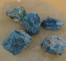 Load image into Gallery viewer, Apatite - Blue
