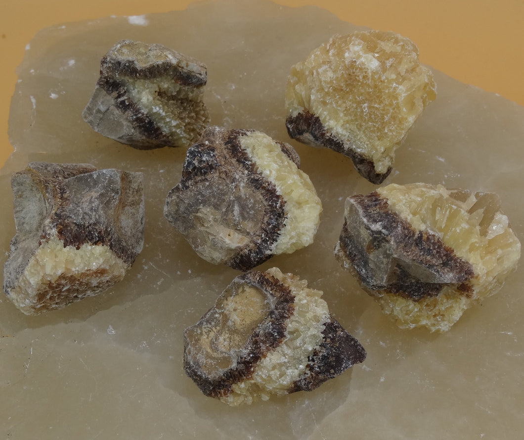 Septarian